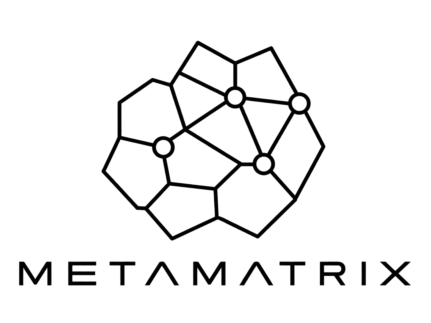MetaMatrix